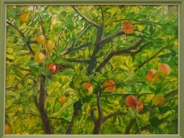 Apple Tree 2. Oil 94 x 74 cm